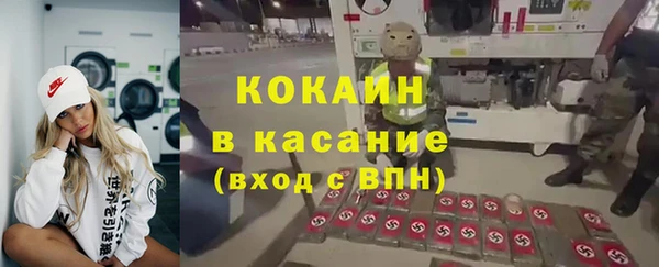 сатива Козловка