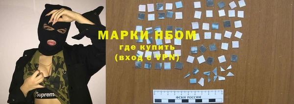 сатива Козловка