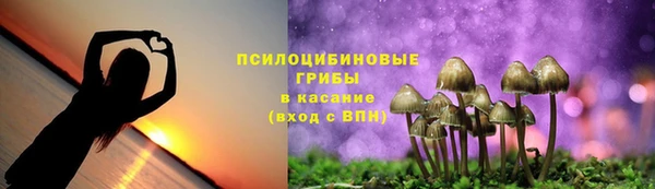 Альфа ПВП Козельск