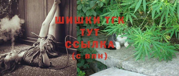 сатива Козловка