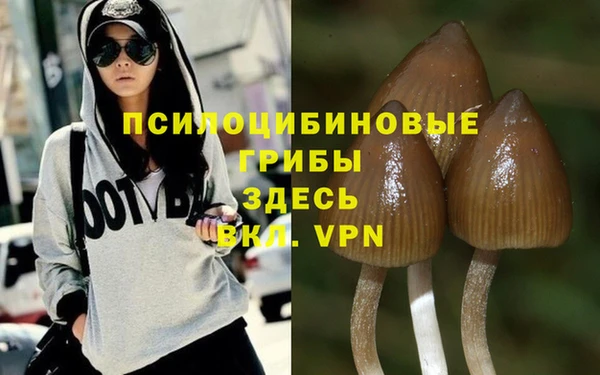 сатива Козловка