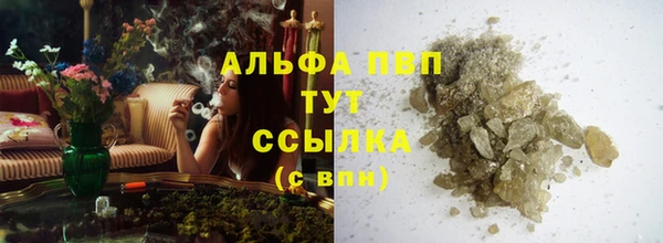 сатива Козловка