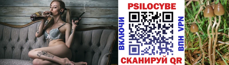 Галлюциногенные грибы MAGIC MUSHROOMS  Купить где  Беломорск 