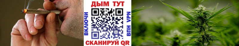 Купить где  Беломорск  МАРИХУАНА планчик 